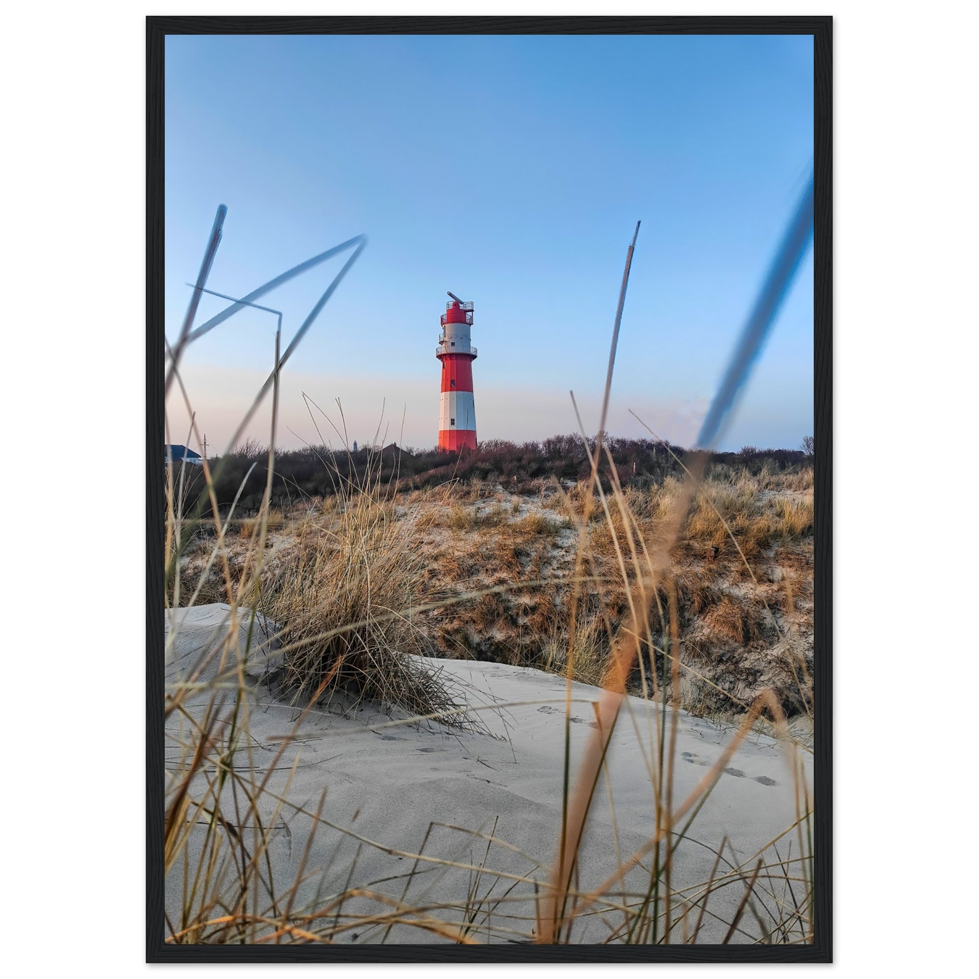 1592cee4-4081-4ef8-b2d3-2ece35027c81