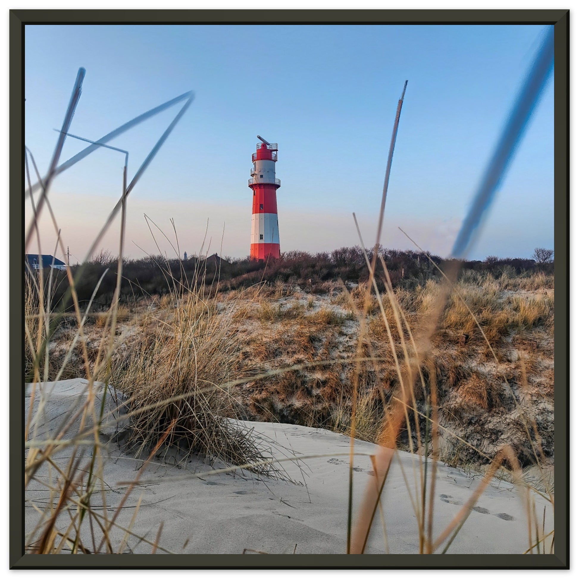 1637a3bd-c3b4-486a-b56b-e6212e9c222a