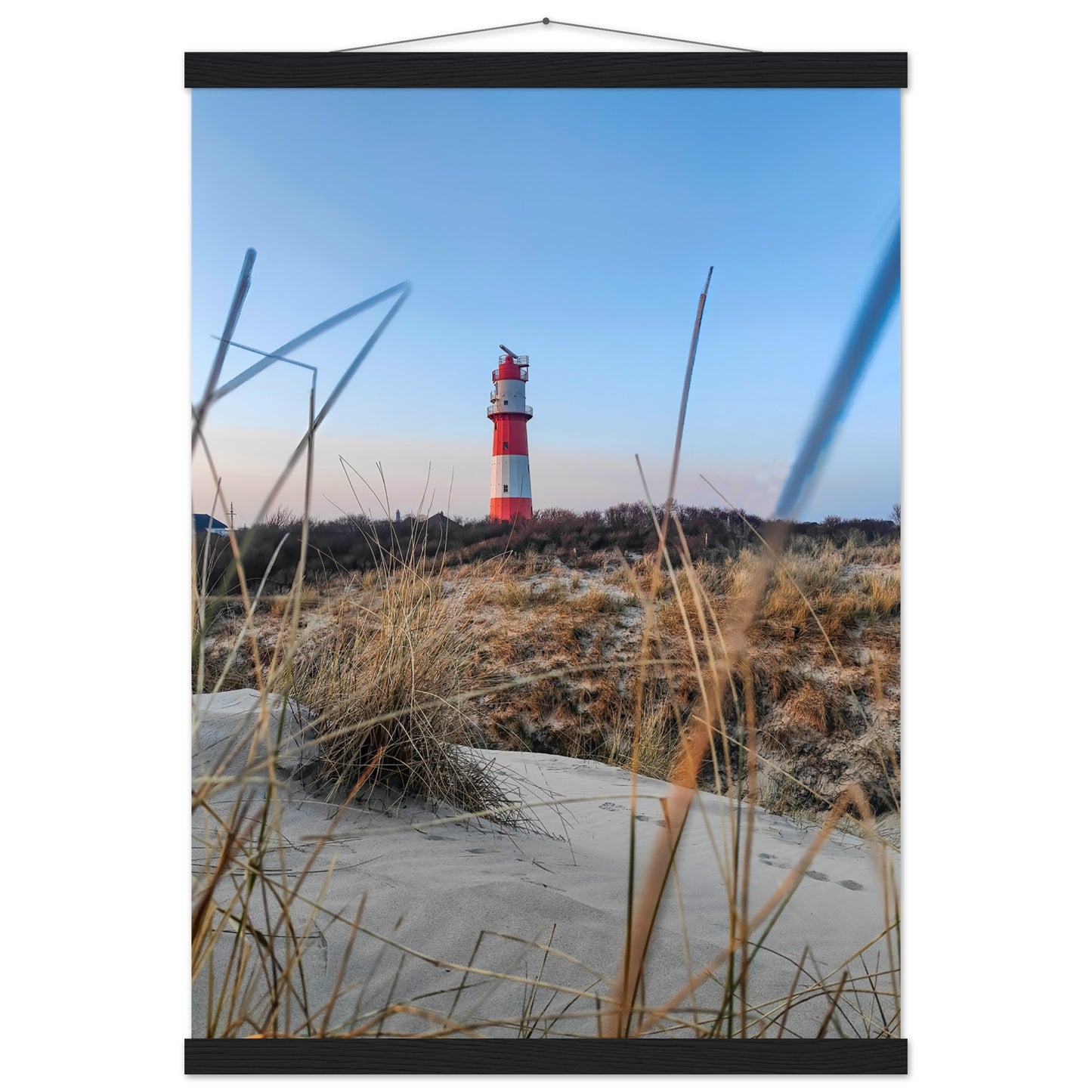 1fdf20d3-2371-42a6-abcb-2b606d8bfe58