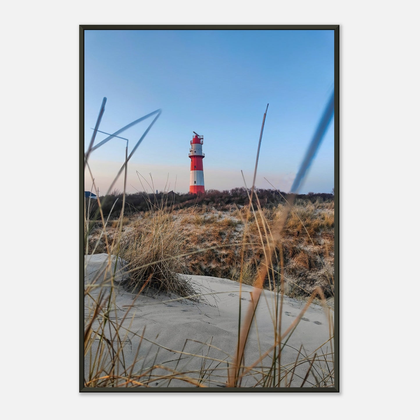 2cf689c2-5ee3-4748-80ef-a9032f6d0758