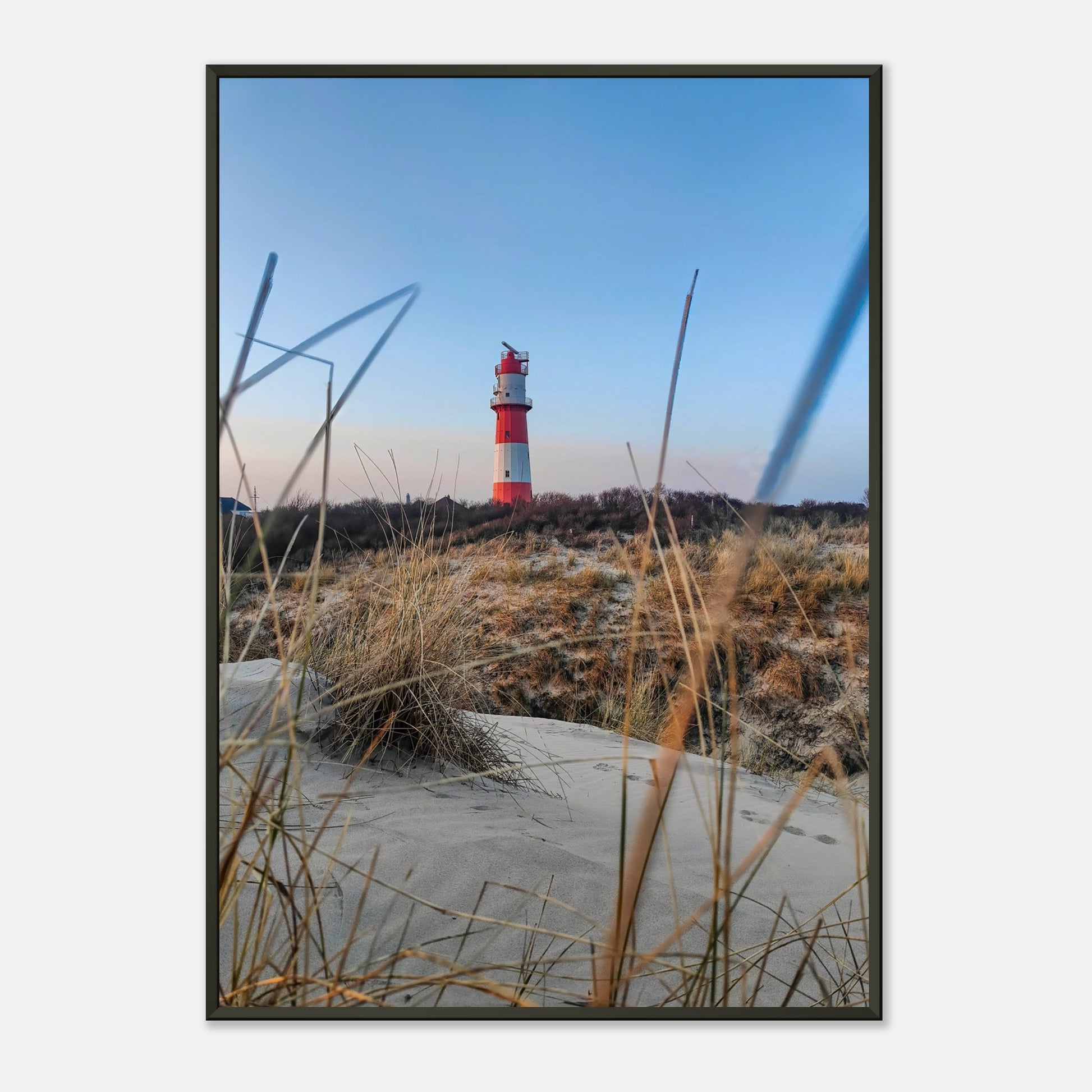 2cf689c2-5ee3-4748-80ef-a9032f6d0758