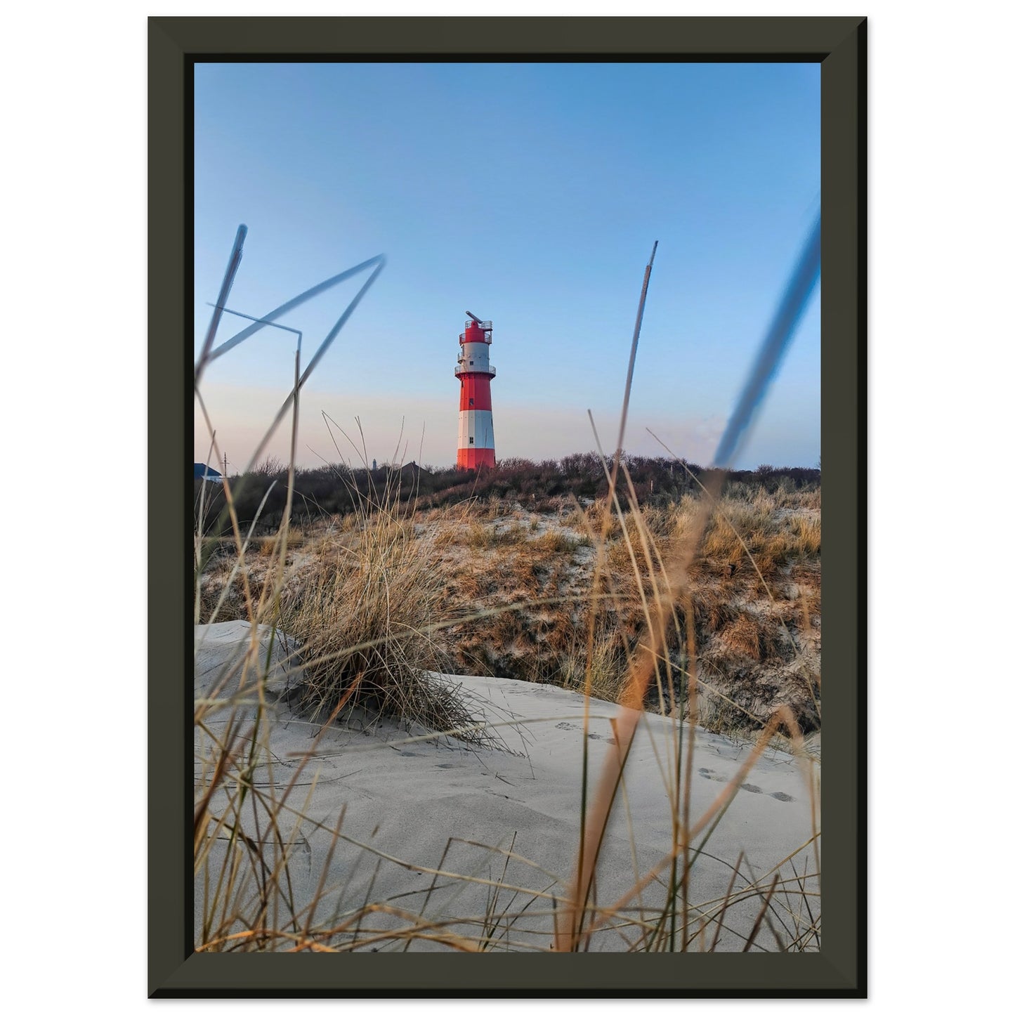 6d983ba8-2b46-46d9-a406-e43196e76262