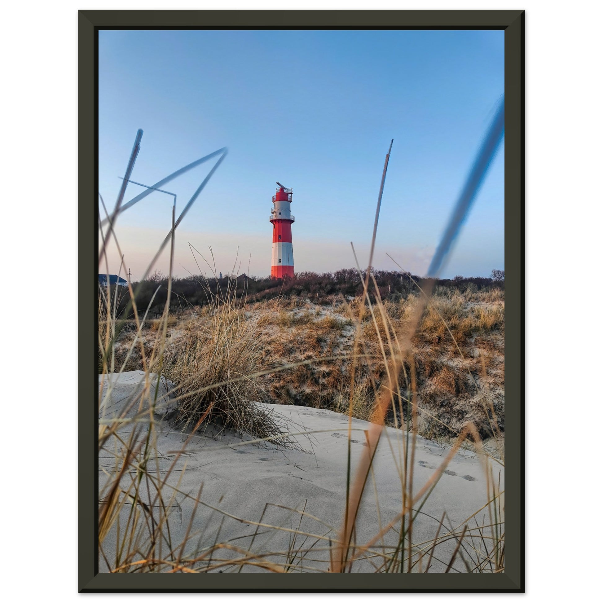 c241f386-9ba7-44c5-a73d-56f3f54625ff