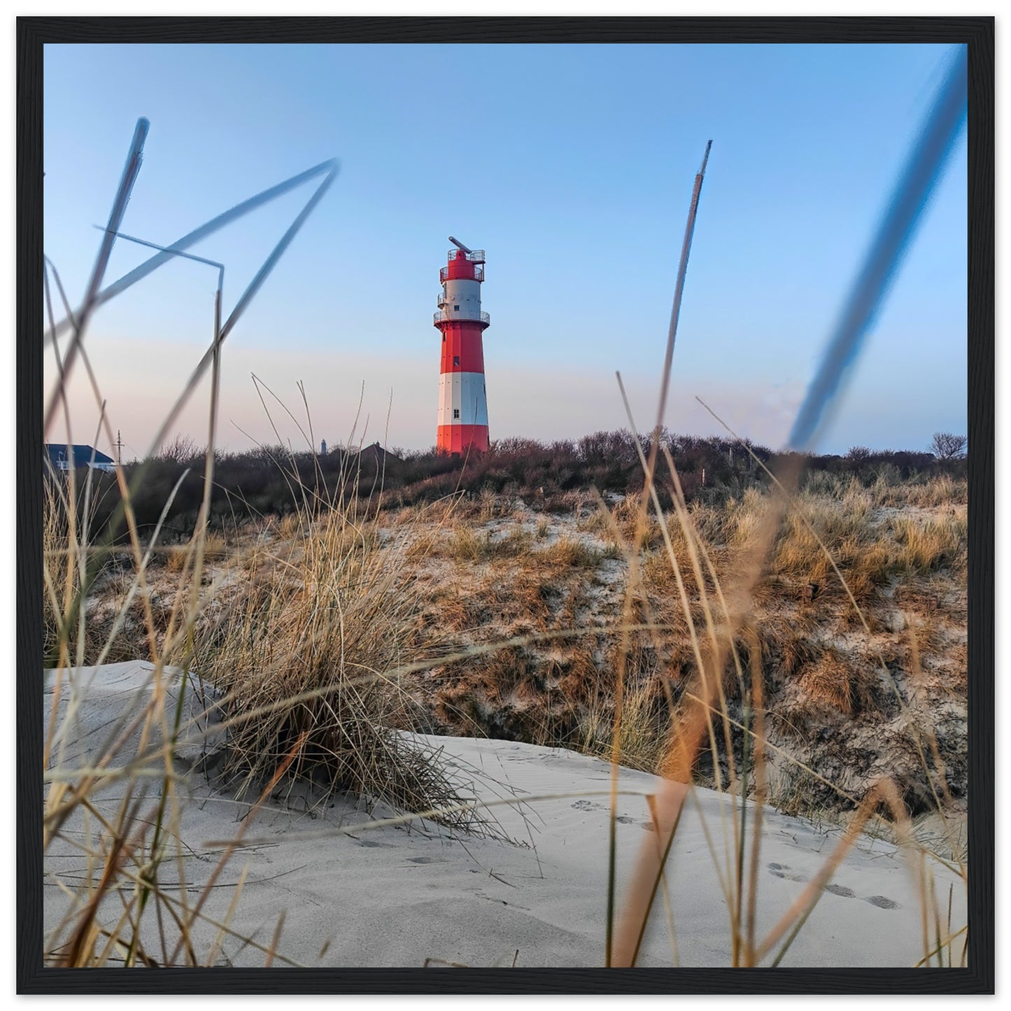 e07f49dc-0444-4307-ae49-8c60b324fb7d