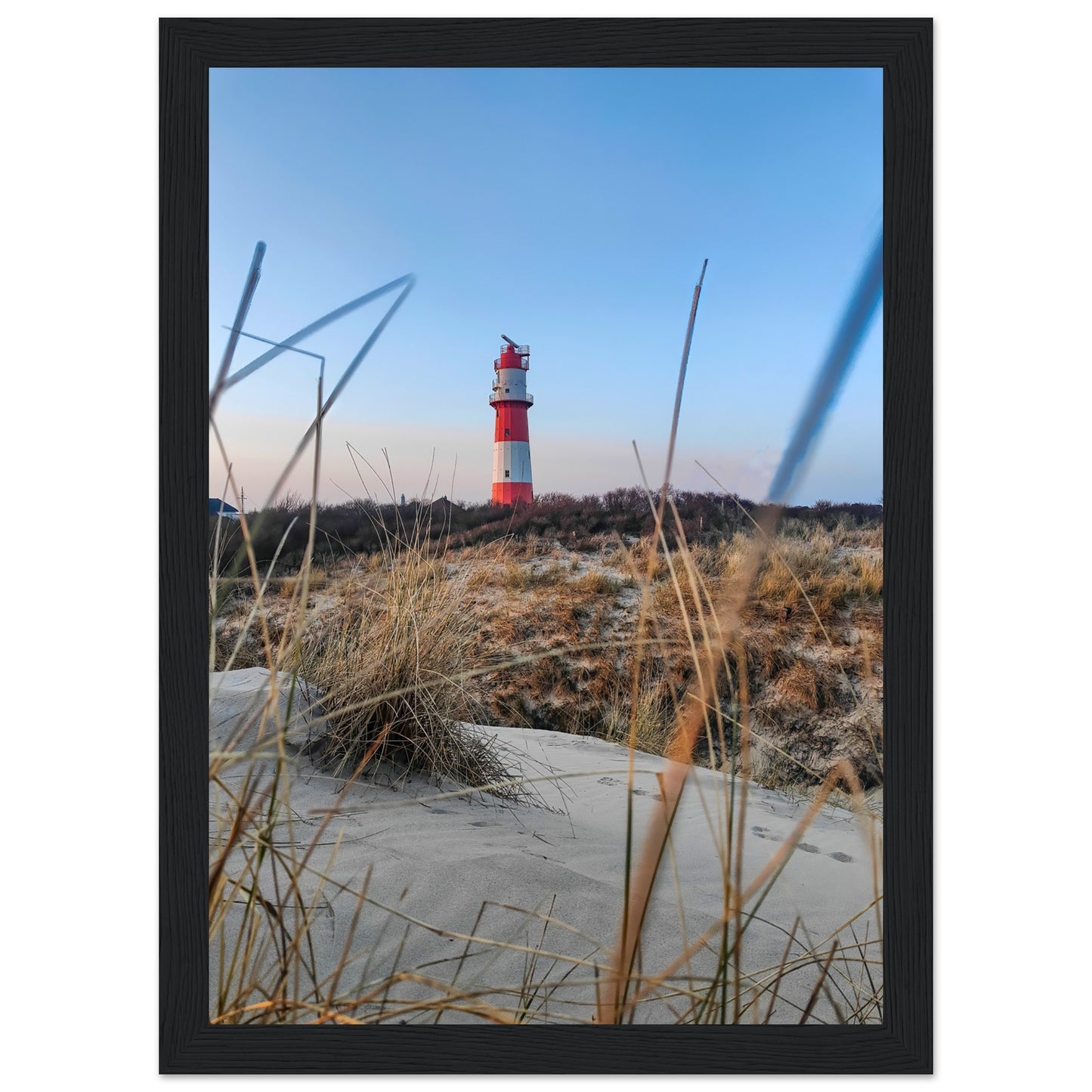 f5ba6681-30ea-4dab-9777-2896a45a2ec5